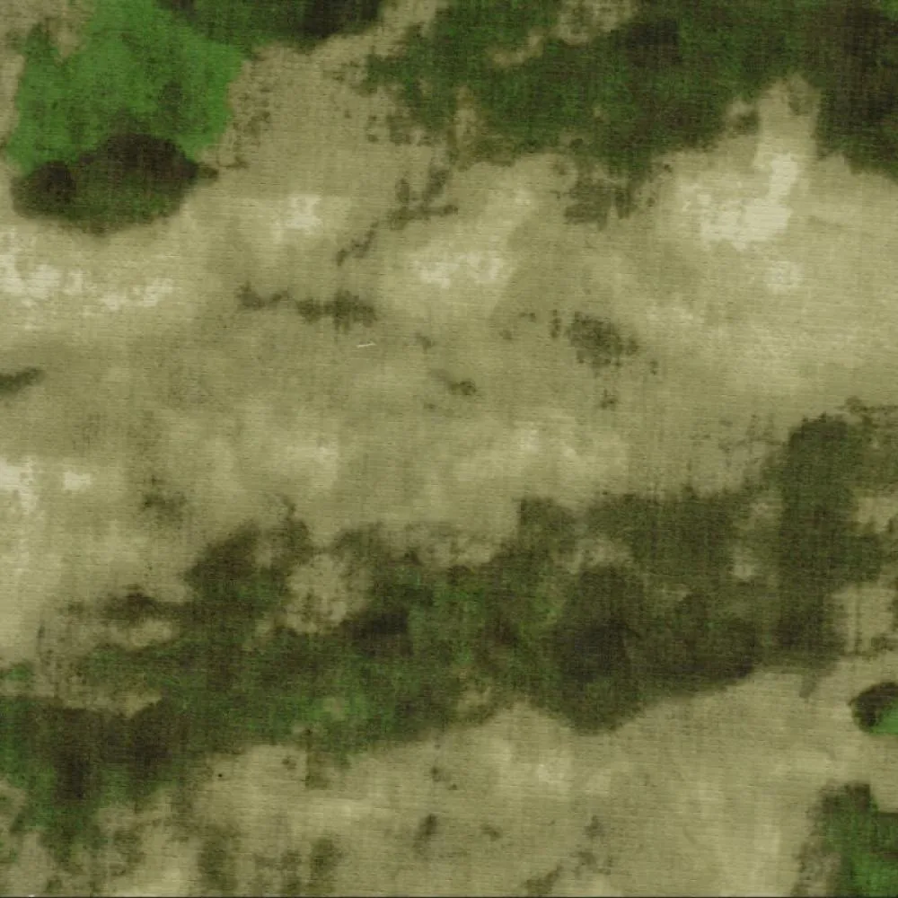 Мох зелёный